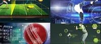 Build a Career in Sports: From Government Jobs to Professional Opportunities
